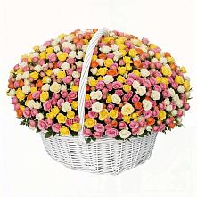 Премиум букет из: Розы в Усмани